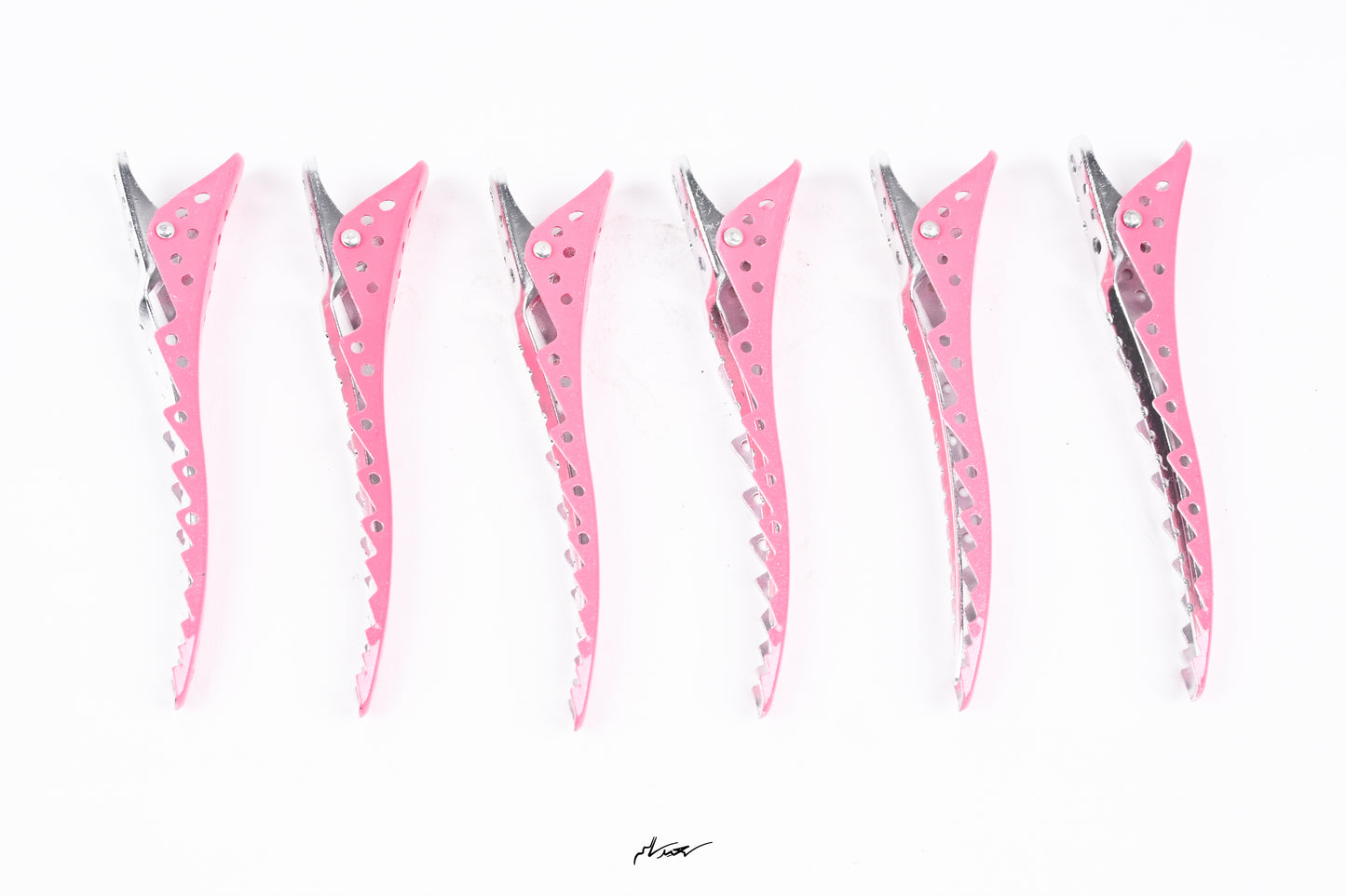 Professional Hair Clips CH32939 (6-Piece)