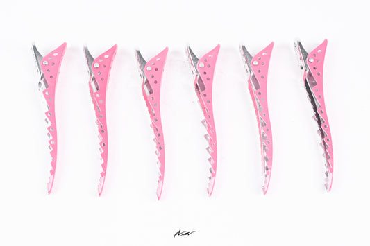 Professional Hair Clips CH32939 (6-Piece)