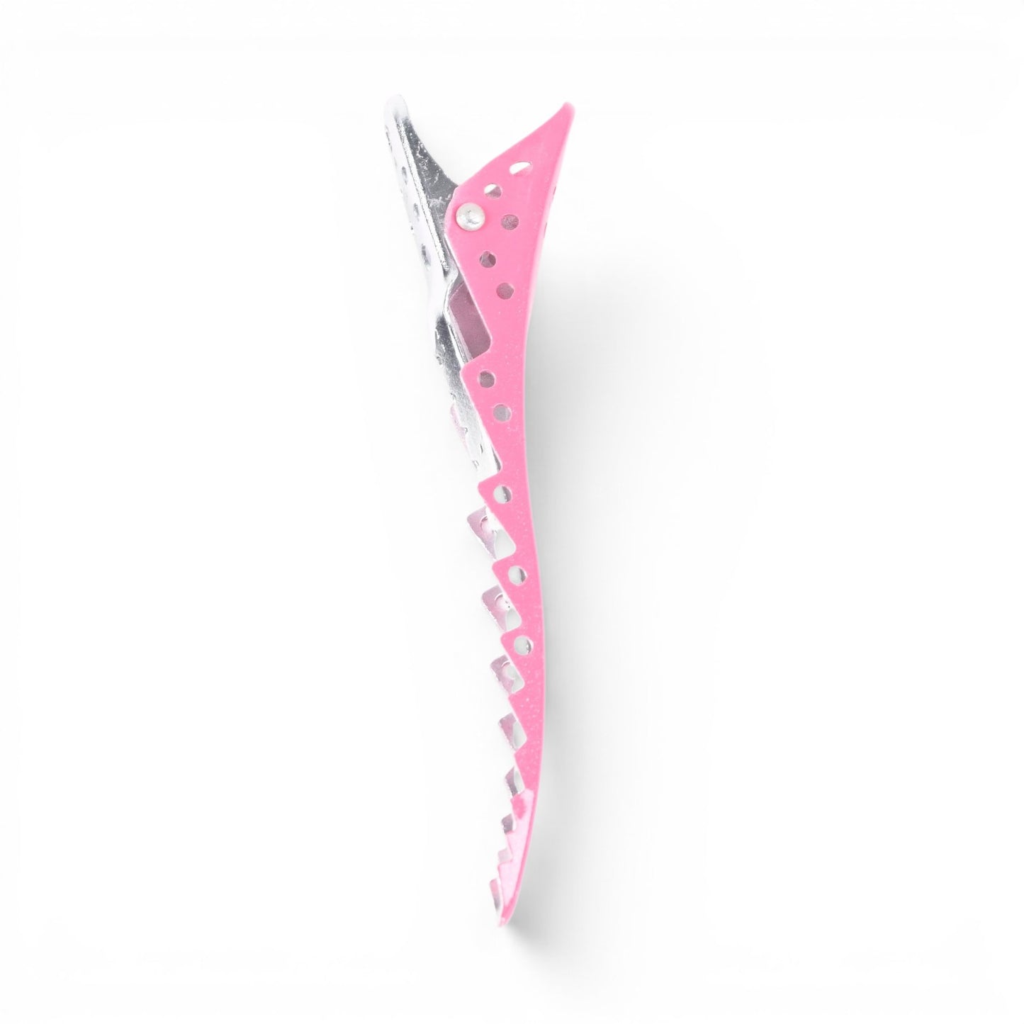 Professional Hair Clips CH32939 (6-Piece)