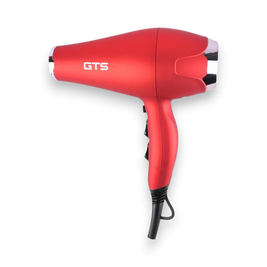 Professional Hair Dryer GTS-10200